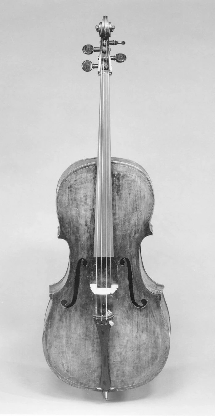 Front view of a cello